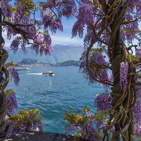 Vista Appartamento Cadenabbia
