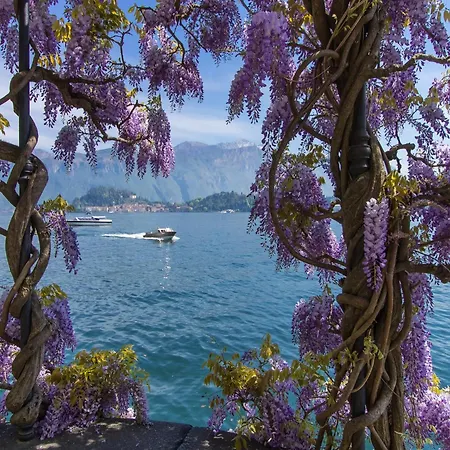 Vista * Cadenabbia